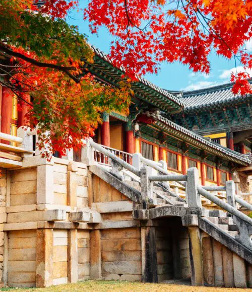 Bulguksa temple with autumn leaves in Gyeongju, Korea