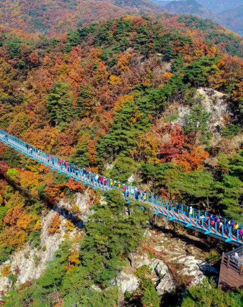 Wonju Sogeumsan Suspension Bridge