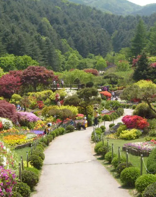 garden-of-morning-calm