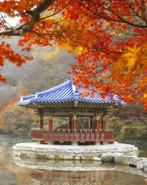 Naejang 9