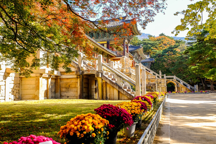 group tour packages korea