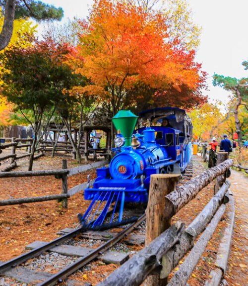 nami-island-train