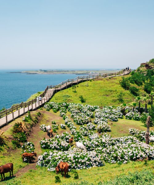 Songaksan Mountain trail with sea in Jeju Island, Korea