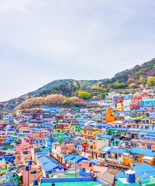 Korea - August 4, 2022 : Gamcheon village is one of most famous tourist destination, located at Busan, South Korea