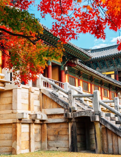 Bulguksa temple with autumn leaves in Gyeongju, Korea