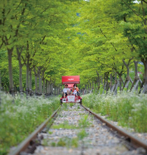 Gangchon Rail Bike 2