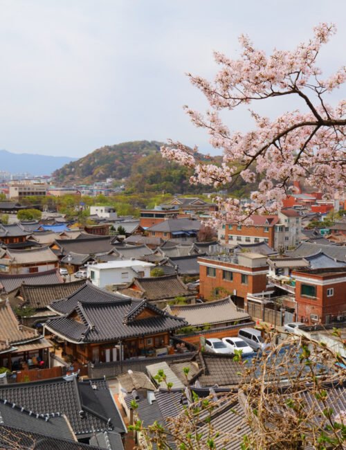 Jeonju Hanok Village townscape in South Korea. Neighborhood of traditional Korean wooden architecture with spring time cherry blossoms.