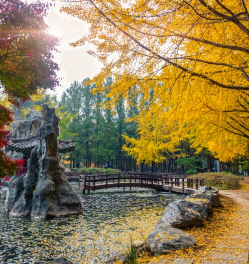 Nami Island in Autumn South Korea