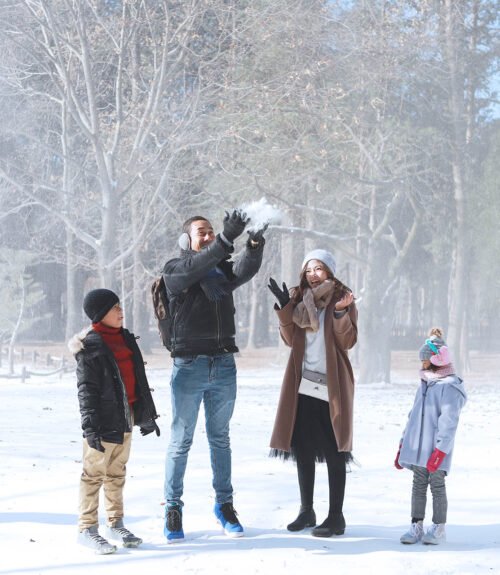 Nami Island Winter