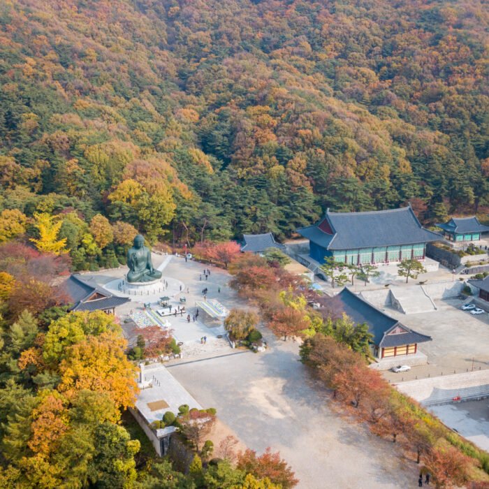 Aerial view autumn of Statue of Buddha in Temple, Seoul Korea