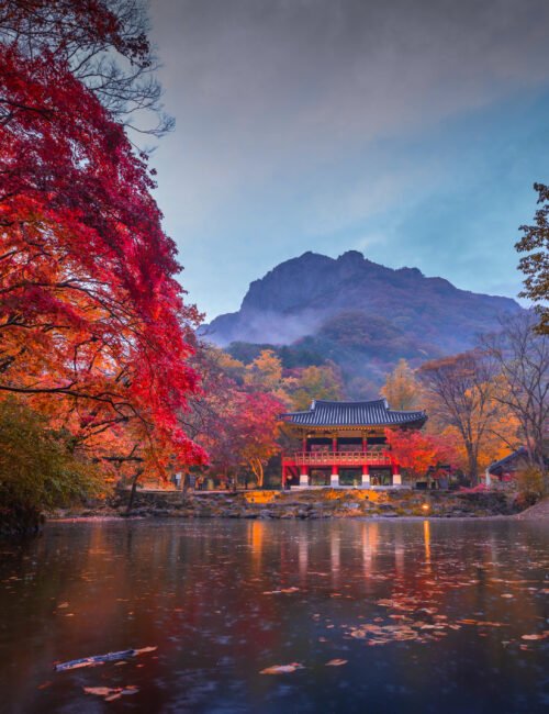 Colorful autumn with beautiful maple leaf in sunset at Baekyangsa temple in Naejangsan national park, South Korea.