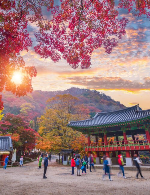 Naejangsan national park , Autumn in Korea and maple tree in the park, South Korea.